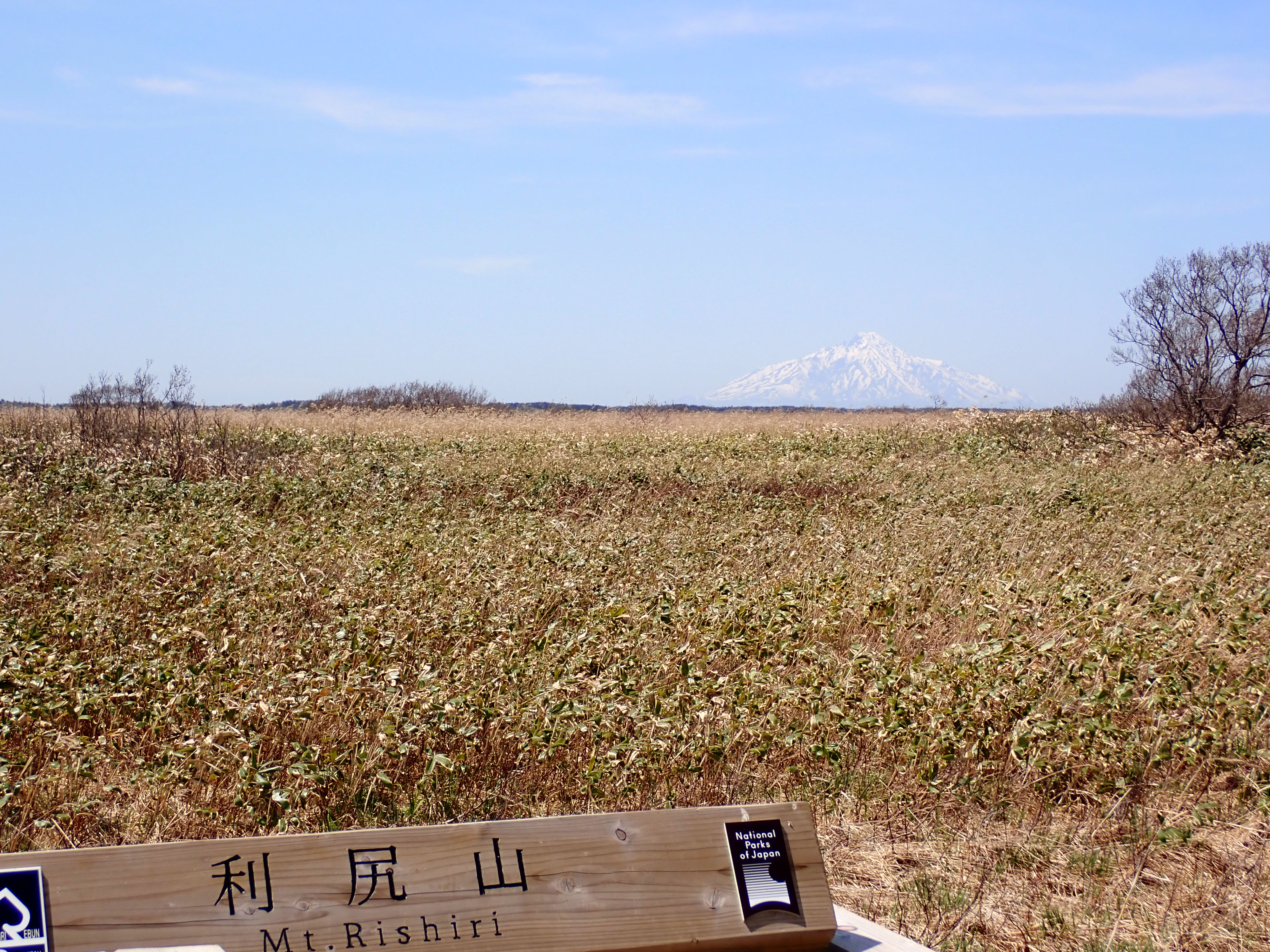アクティブ・レンジャー日記 [北海道地区]_利尻礼文サロベツ国立公園